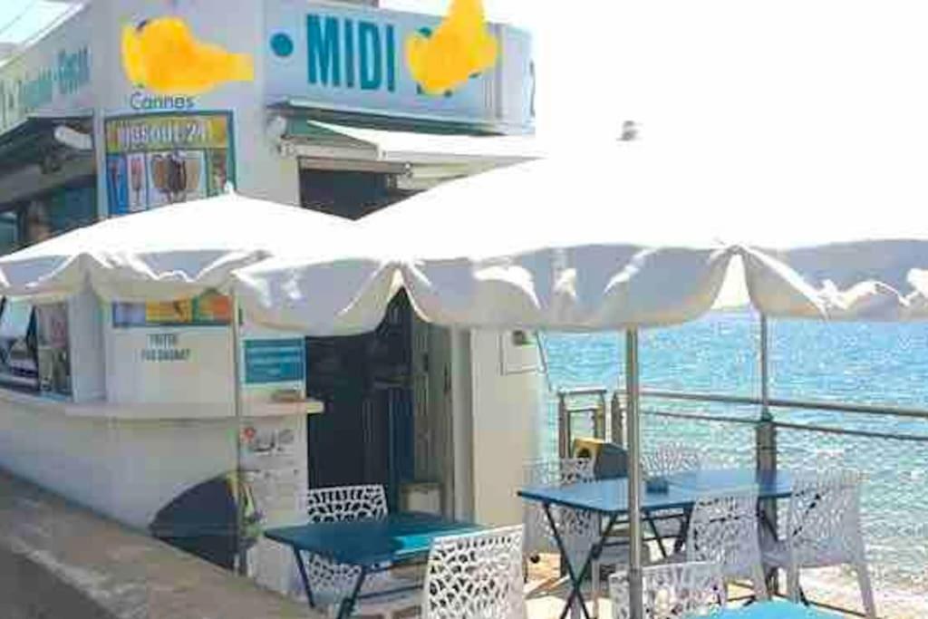 Bord De Mer, Terrasse, Tout A Pieds Cannes Eksteriør billede