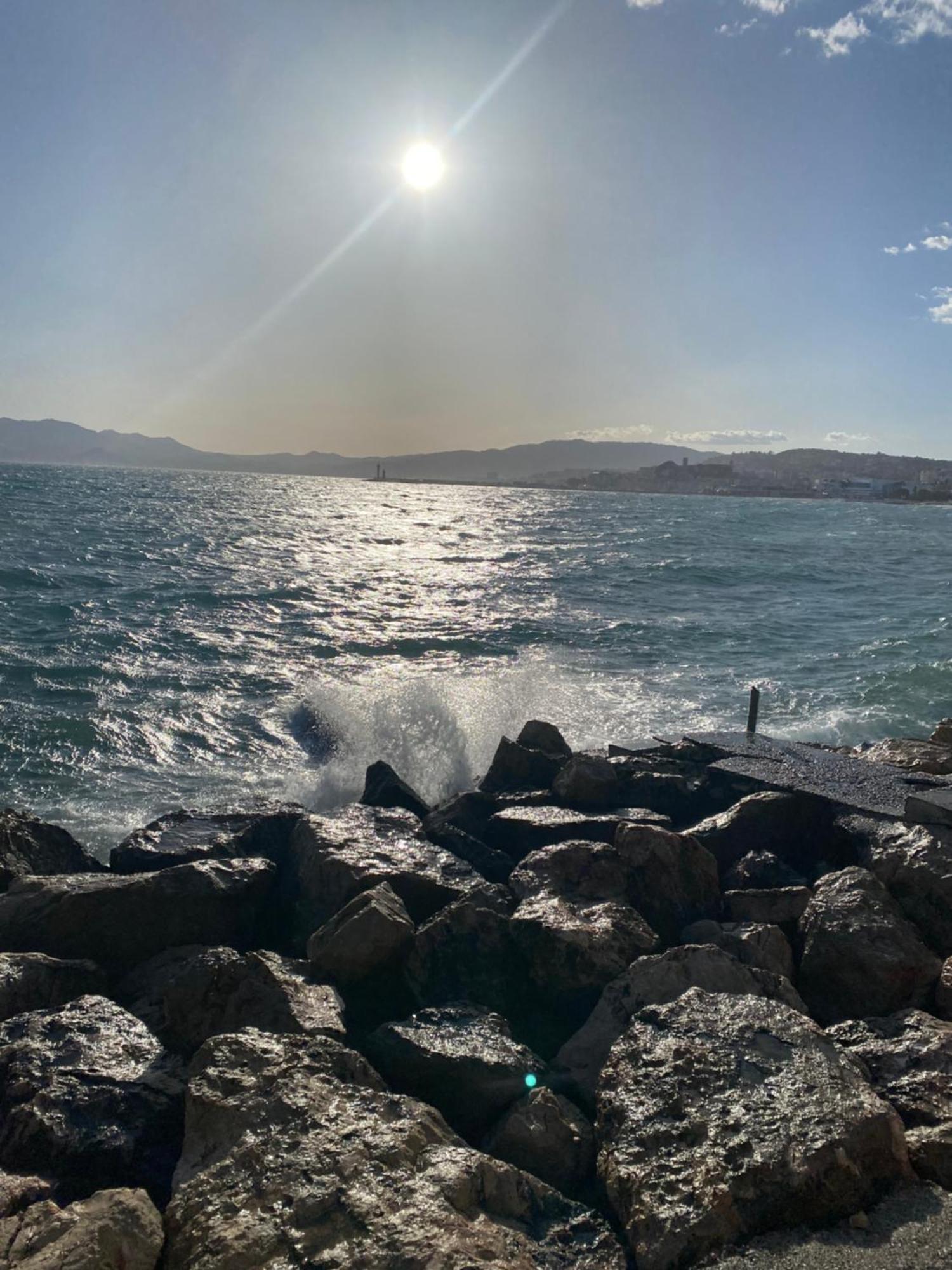 Bord De Mer, Terrasse, Tout A Pieds Cannes Eksteriør billede