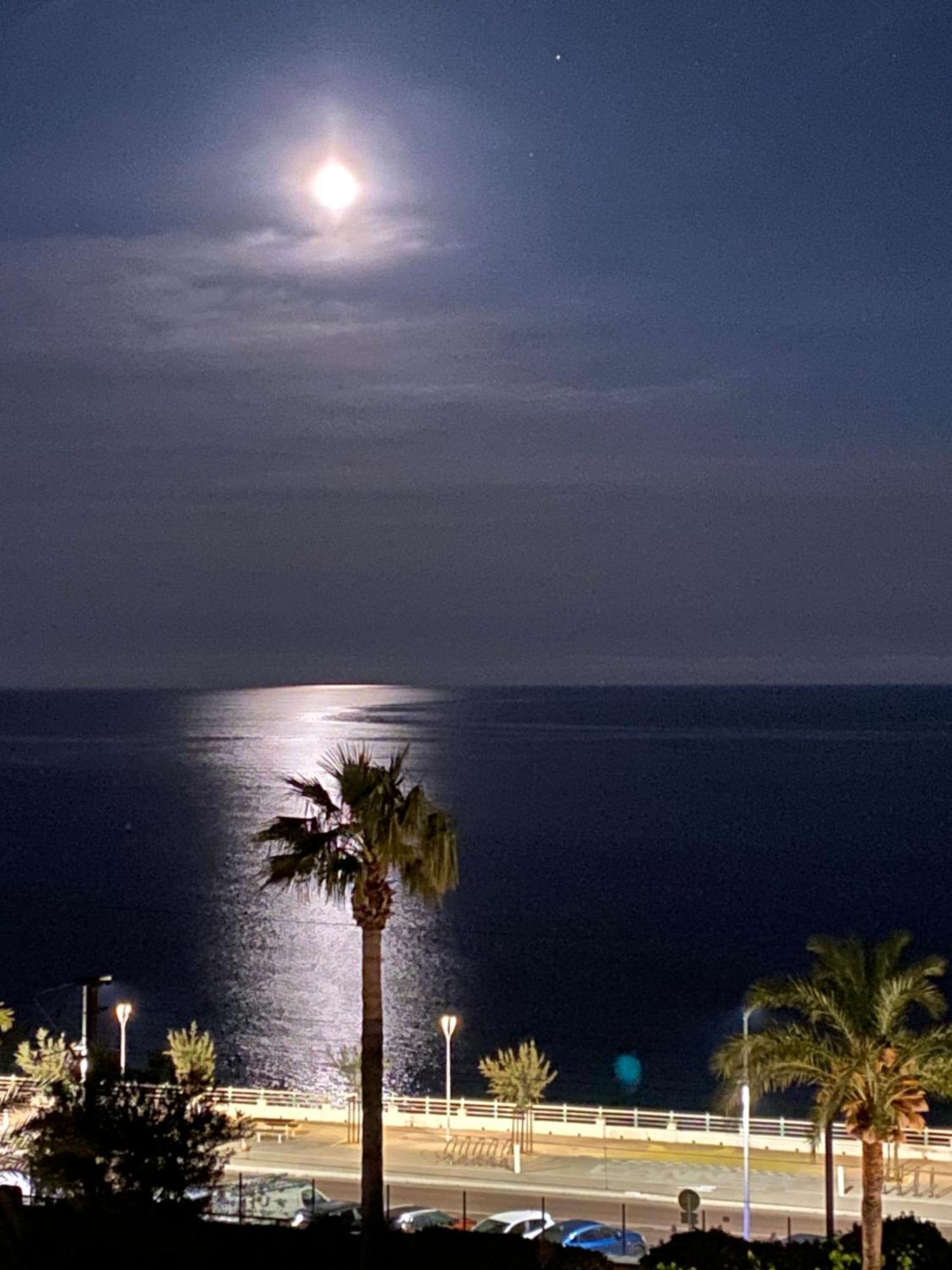 Bord De Mer, Terrasse, Tout A Pieds Cannes Eksteriør billede