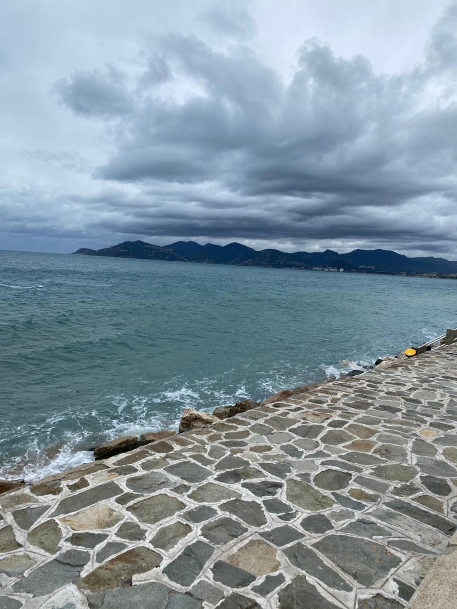 Bord De Mer, Terrasse, Tout A Pieds Cannes Eksteriør billede